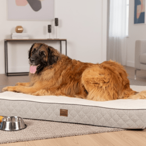 OrthoLuxe Mattress - Extra Extra Large